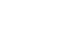 WOMAD NZ